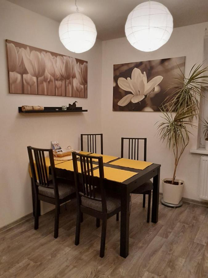Apartment Riegerovka *