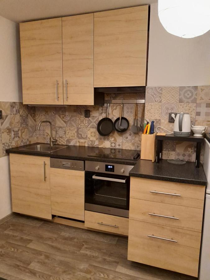 Apartment Riegerovka *