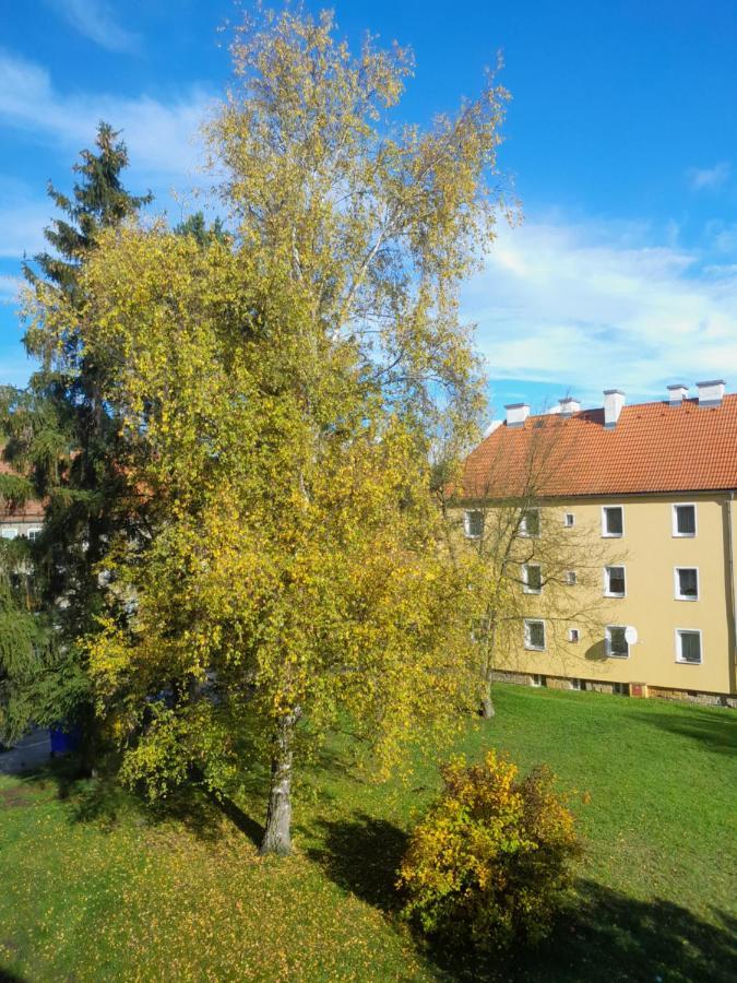 Riegerovka Apartment