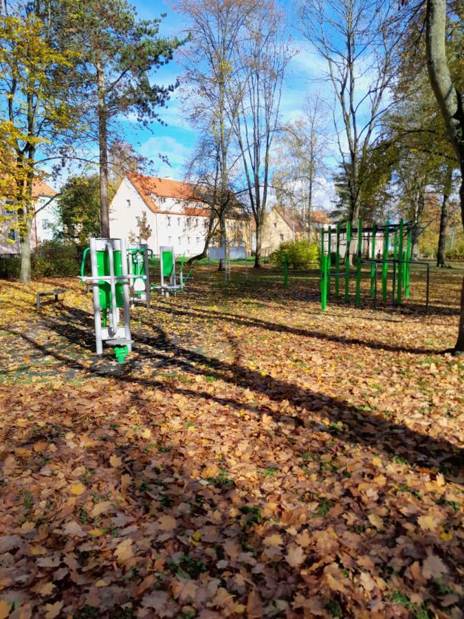 Riegerovka Cheb