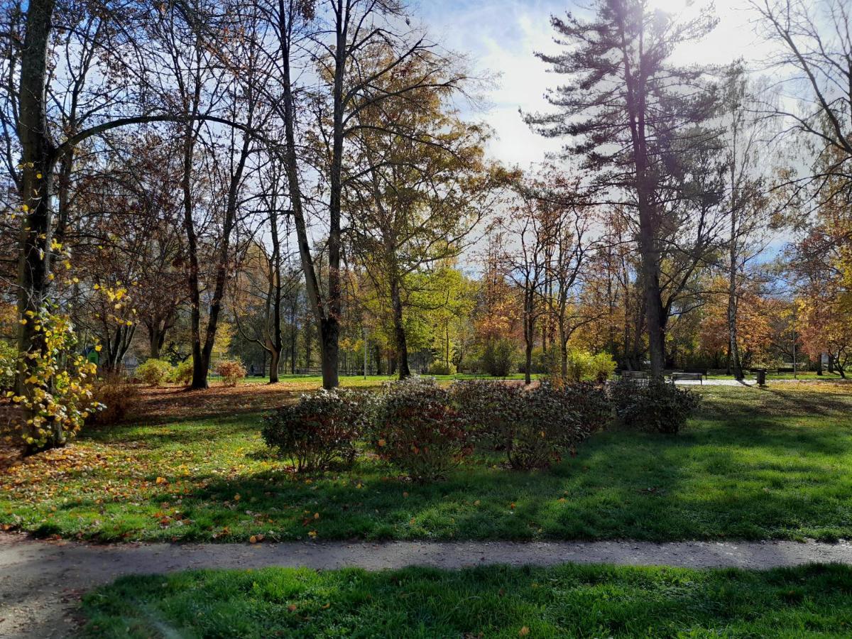 Riegerovka Apartment Cheb