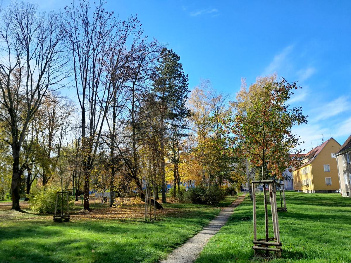 Riegerovka