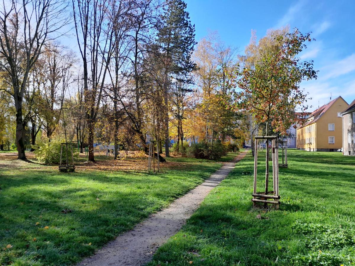 Riegerovka Apartment *