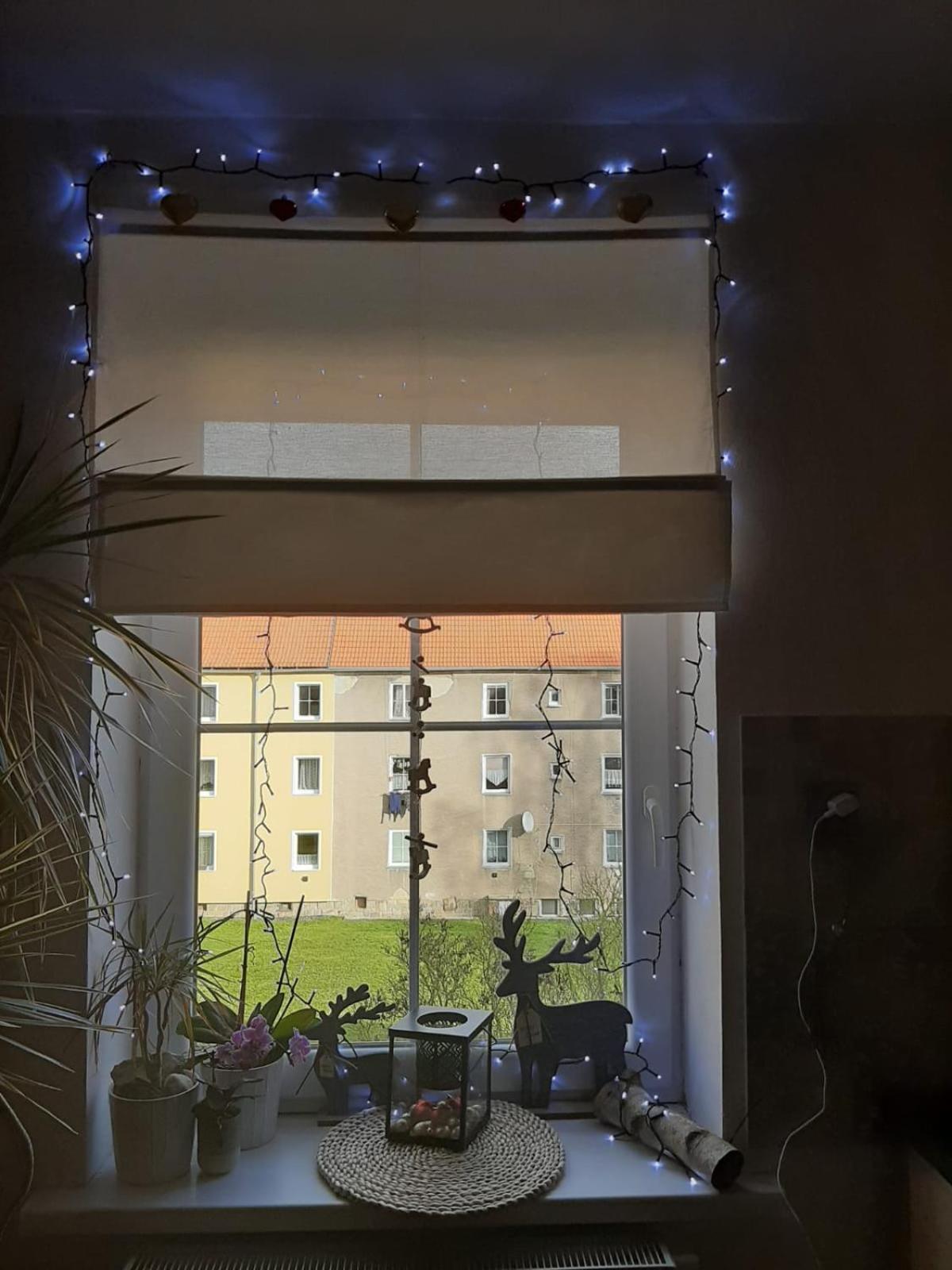 Riegerovka Apartment