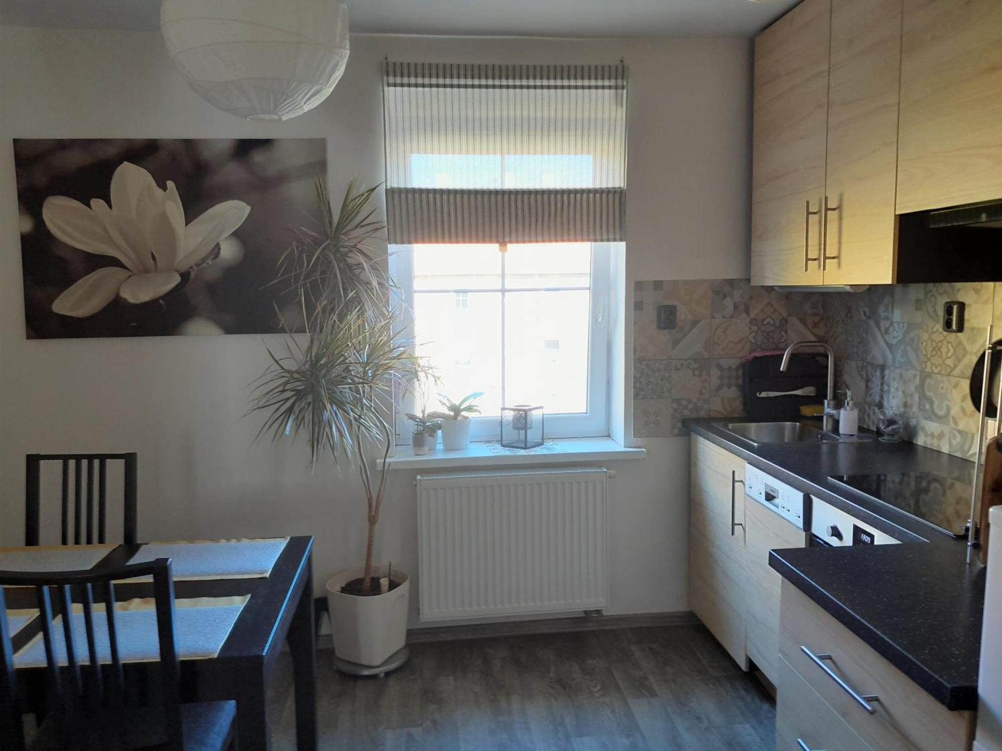 Riegerovka Apartment Cheb